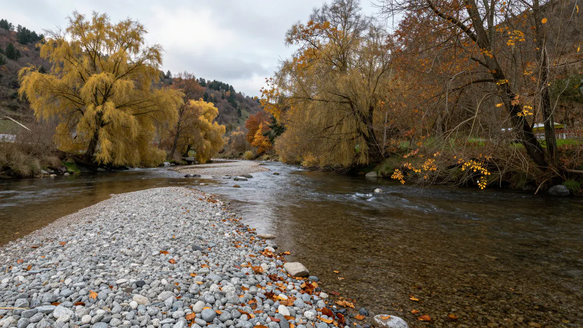 Illustration: Flacher Fluss mit Kiesbank und goldgelben Weiden am Ufer im Herbst