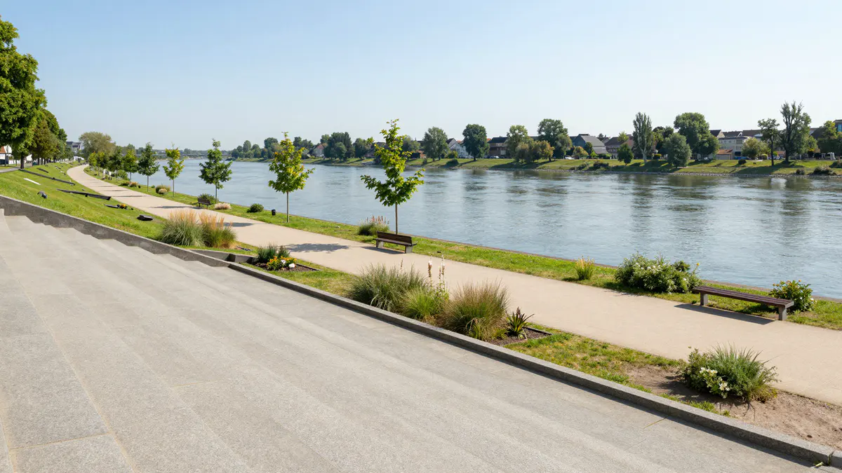 Illustration: Breite Sitzstufen und eine Promenade mit jungen Bäumen an einem ruhigen, breiten Fluss an einem klaren Sommermorgen