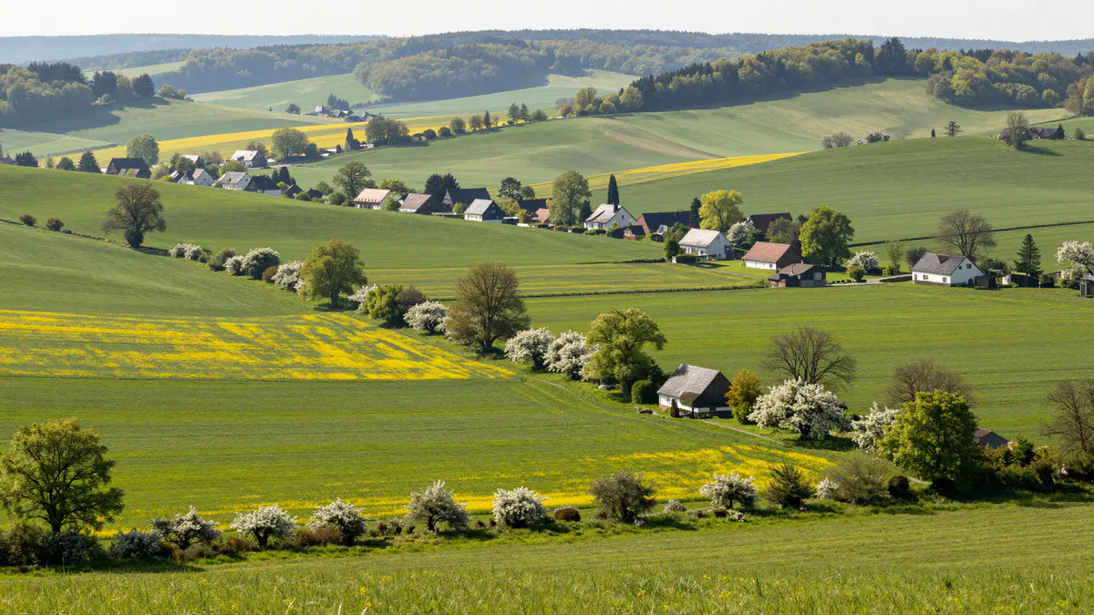 Illustration: Weiter Blick über grüne Hügel, gelb blühende Wiesen, Hecken und verstreute Weiler bis zum Horizont