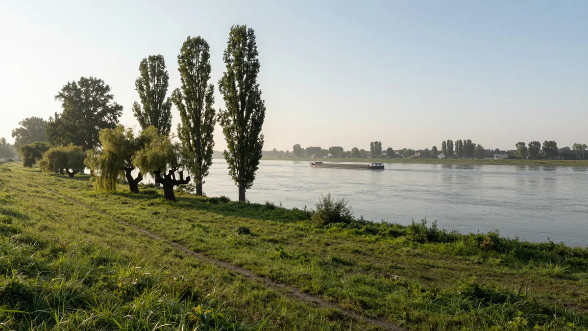 Illustration: Uferwiese mit Kopfweiden und hohen Pappeln an einem breiten Fluss, in der Ferne fährt ein Frachtschiff