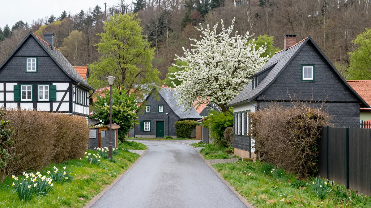 Illustration: Dorfstraße am Hang mit Fachwerkhaus, Schieferhäusern, Narzissen am Wegrand und blühendem Obstbaum im Frühling